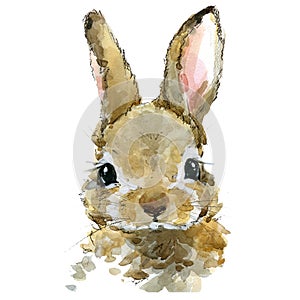 Cute rabbit watercolor illustration JPEG, PNG. baby animals series