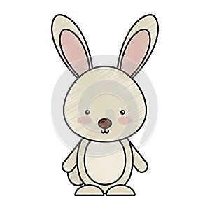 Cute rabbit woodland animal