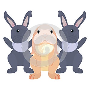 Cute rabbits cartoon