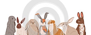 Cute rabbits and hares with long ears isolated on white background. Banner with border of sweet farm animals. Group