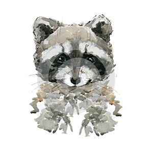 Cute raccon watercolor illustration JPEG, PNG. wild baby animals series