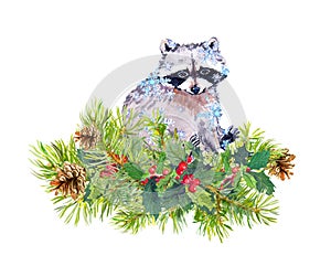 Cute raccoon animal in snowflakes. Pine tree twigs, christmas mistletoe. Watercolor