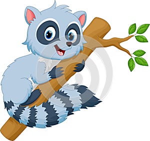 Cute raccoon cartoon