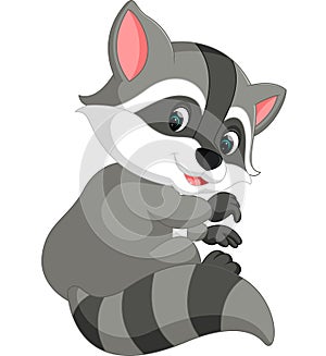 Cute raccoon cartoon