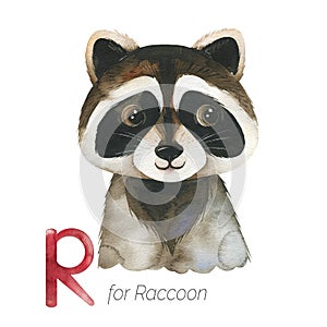Cute Raccoon for R letter.