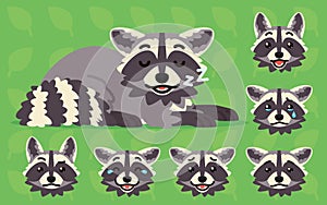 Cute raccoon sleeping. Vector illustration of sleepy coon and its head sows different emotions on green background