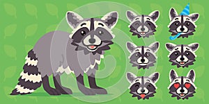 Cute raccoon standing. Vector illustration of happy coon and its head sows different emotions on green background. Emoji