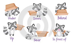 Cute Raccoon with Striped Tail and Carton Box as Prepositions of Place Demonstration Vector Set