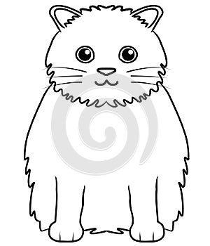 Cute rag doll cat vector icon