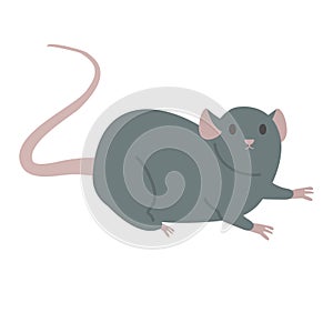 Cute Rat cartoon mouse vector