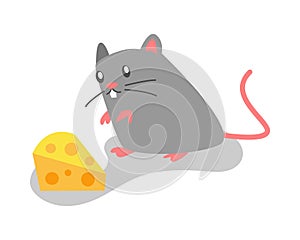 cute rat, mouse get cheese in flat cartoon style. mice, animal, rodent. vector graphic. photo