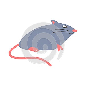 cute rat, mouse side view in flat cartoon style. mice, animal, rodent. vector graphic. photo