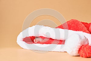 cute rat in Santa hat on beige background