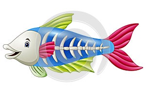 Cute x-ray fish cartoon