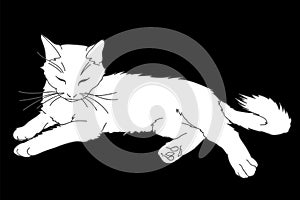 Cute realistic cat laying. Vector illustration of white kitty isolated on black background. Element for your design