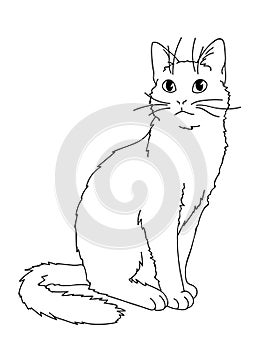 Cute realistic cat sitting. Vector illustration of kitty looking up. Black lines on white background. Element for your