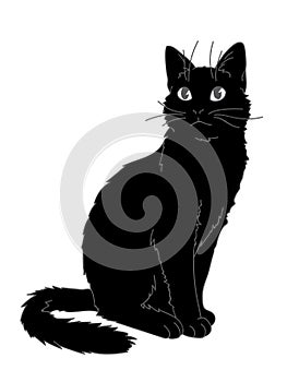 Cute realistic cat sitting. Vector illustration of kitty looking up. Grey lines, black figure on white background