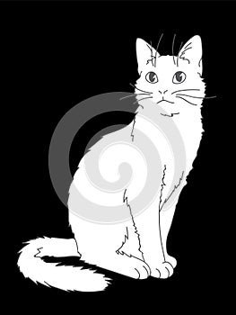 Cute realistic cat sitting. Vector illustration of kitty looking up. Grey lines, white figure on black background