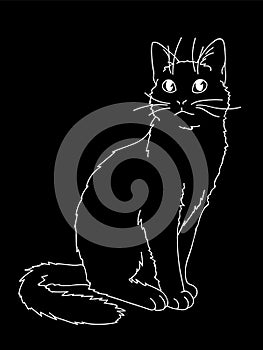 Cute realistic cat sitting. Vector illustration of kitty looking up. White lines on black background. Element for your