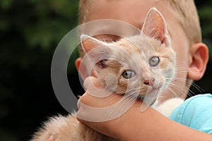 Cute red cat with child