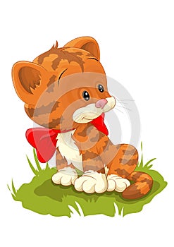 Cute red cat