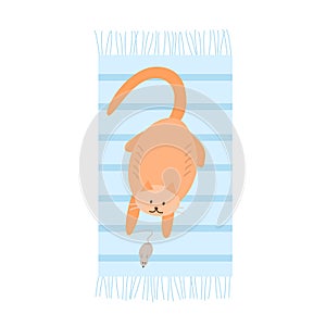 Cute red fat cat playing with a mouse. The house cat is lying on the carpet holding the mouse`s tail with its paw. Vector