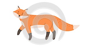 Cute red fox with black paws and fluffy tail. Happy smiling animal character with friendly face. Childish flat cartoon