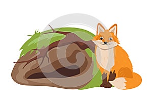 Cute red fox cartoon forest wild animal character living in burrow isolated vector illustration