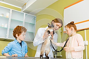 Cute red haired girl ausculting cat at clinic