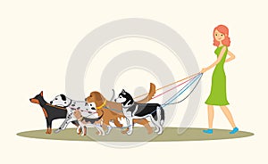 Cute red-haired girl walking many dogs