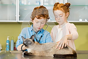 Cute red haired siblings boy and girl ausculting cat