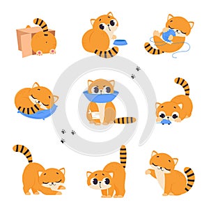 Cute Red Kitten Doing Different Activities Set, Adorable Pet Animal Playing, Sleeping and Eating Cartoon Vector