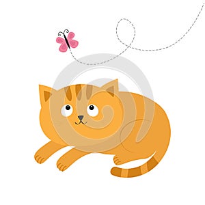 Cute red lying orange cat and looking at flying pink butterfly. Dash line track. Mustache whisker. Funny cartoon character. Flat