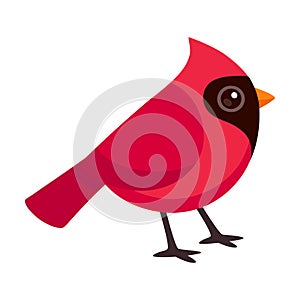 Cute red Northern Cardinal illustration