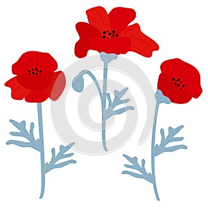 red poppy flowers vector illustration set isolated on white background