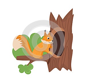 Cute red squirrel cartoon forest animal character coming hollow home on tree isolated on white