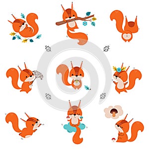 Cute Red Squirrel Dancing and Swinging on Tree Branch Vector Set