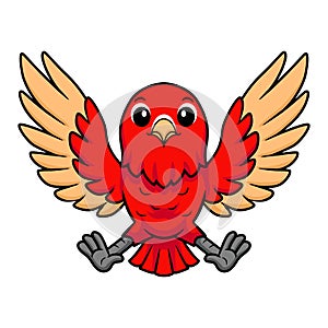 Cute red suffusion lovebird cartoon flying