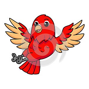 Cute red suffusion lovebird cartoon flying