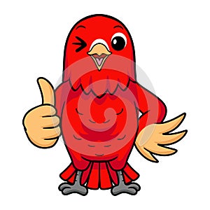 Cute red suffusion lovebird cartoon giving thumb up