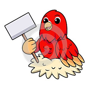Cute red suffusion lovebird cartoon holding blank sign
