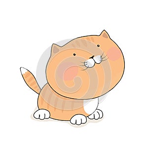 Cute redhead kitten. Cat cartoon character