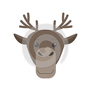 Cute reindeer face, portrait of forest brown deer or wild moose