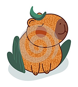 Cute relaxing capybara vector illustration