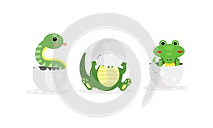 Cute Reptile Hatching from Cracked Egg Vector Set
