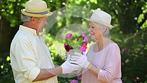 Cute retired couple kissing while gardening