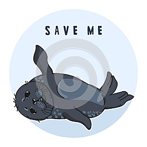 Cute ringed seal, save me slogan, isolated adult nerpa sticker, animal extinction problem, Red List, editable vector illustration