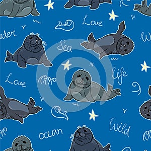 Cute ringed seals, nerpas, cartoon drawing adorable animals on blue background with handwritten elements seamless pattern,