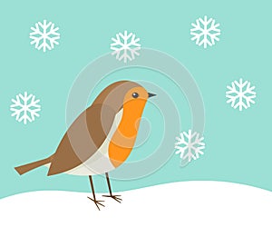 Cute robin bird in winter scenery