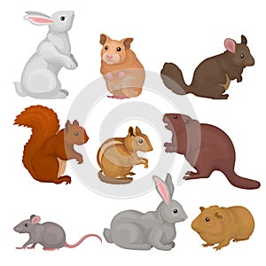 Cute rodents set, small wild and domestic animals vector Illustration on a white background
